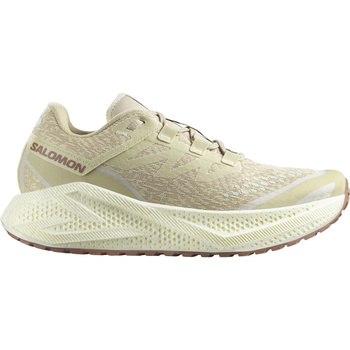 SALOMON AERO GLIDE 3 GRVL MĘSKIE L47797300