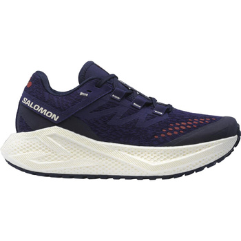 SALOMON AERO GLIDE 3 GRVL DAMSKIE L47870600